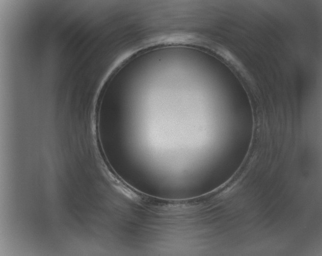 X0000067831232200604201207