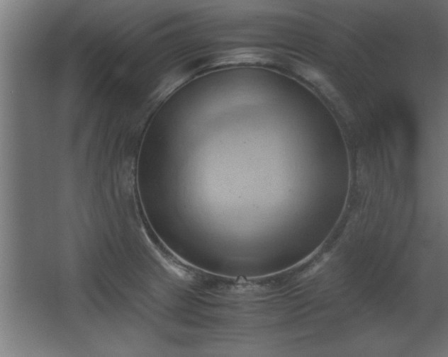 X0000067831233200604201207