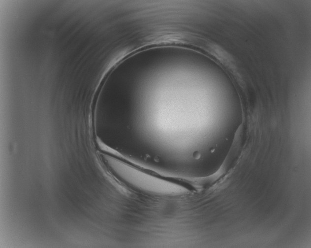 X0000067831234200604201207