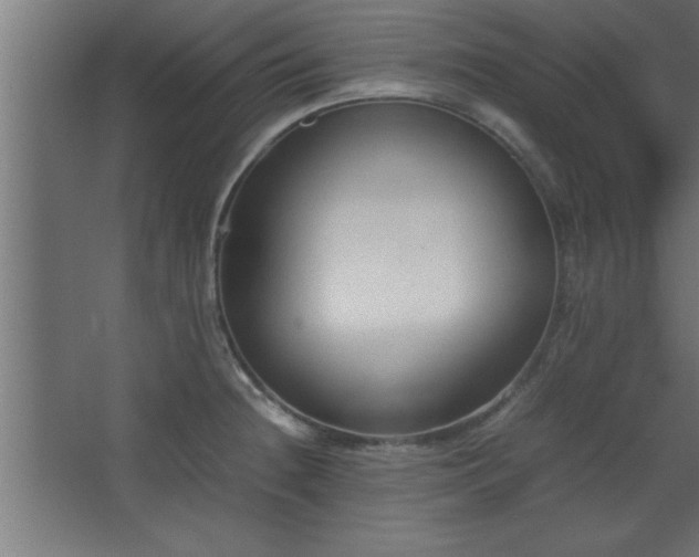 X0000067831236200604201207