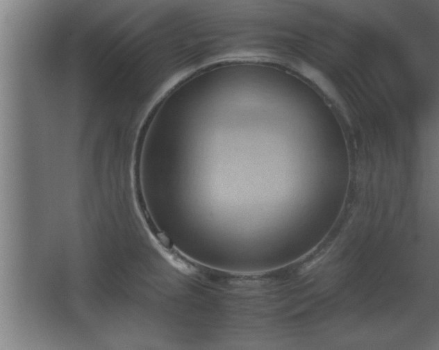 X0000067831237200604201207