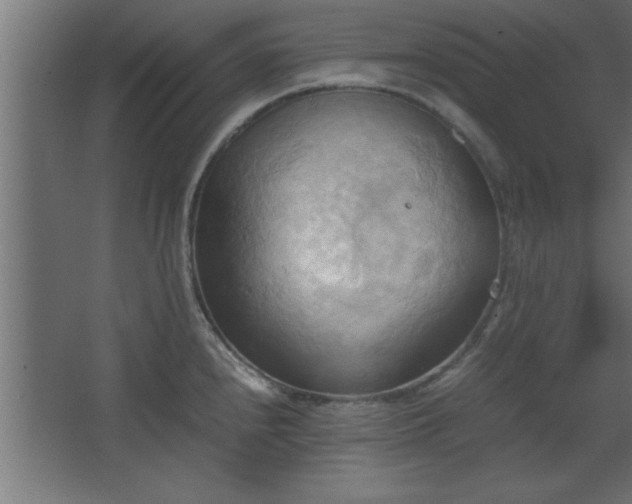 X0000067831240200604201207