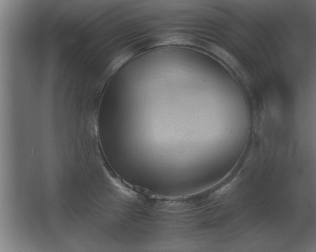 X0000067831241200604201207