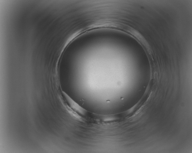 X0000067831242200604201207