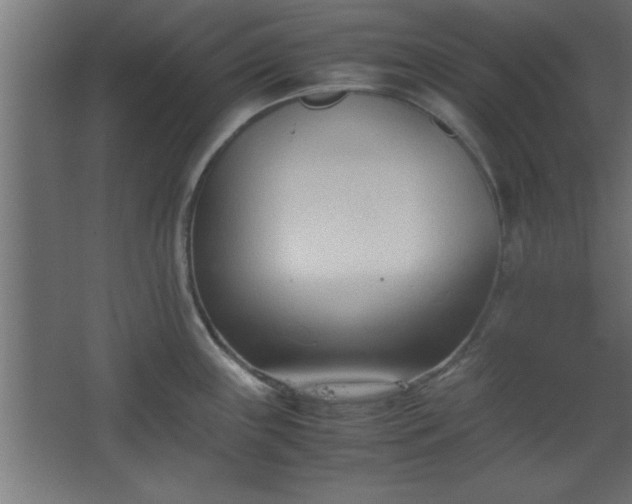 X0000067831243200604201207