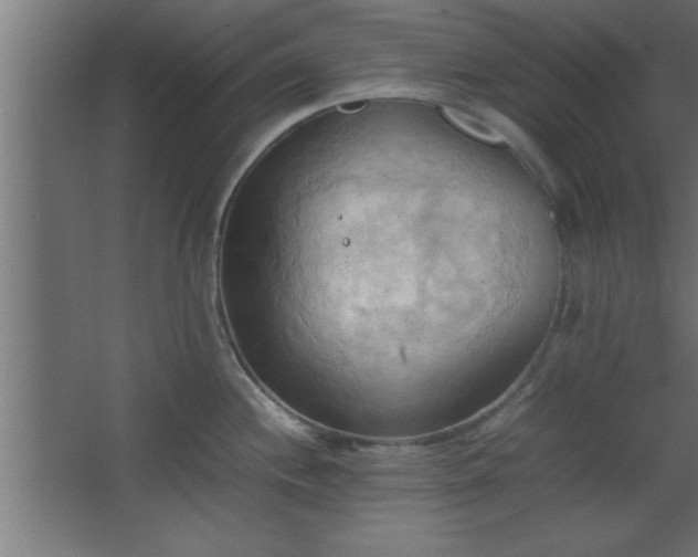 X0000067831244200604201207