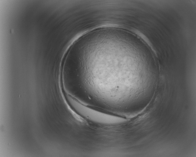 X0000067831245200604201207