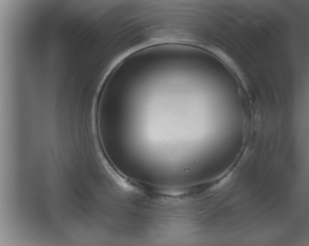 X0000067831246200604201207