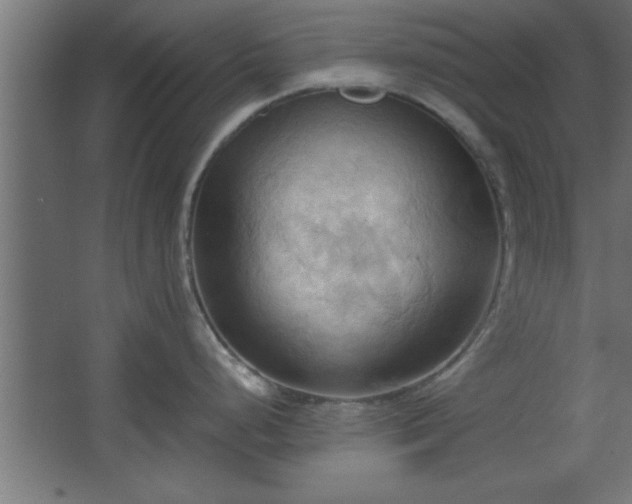 X0000067831248200604201207