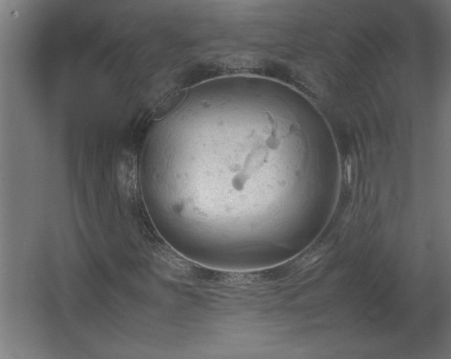 X0000067831251200604201206