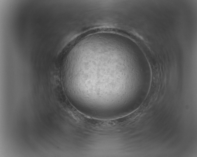 X0000067831255200604201206