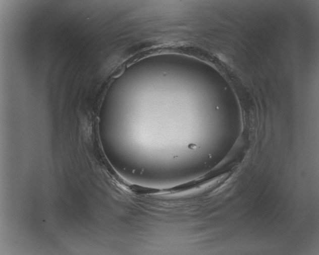 X0000067831257200604201206