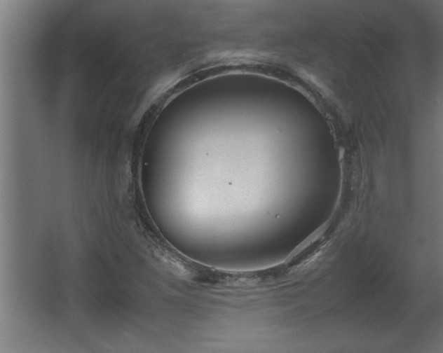 X0000067831261200604201206