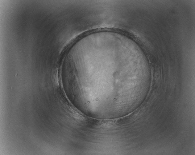 X0000067831262200604201206