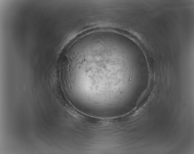 X0000067831263200604201206