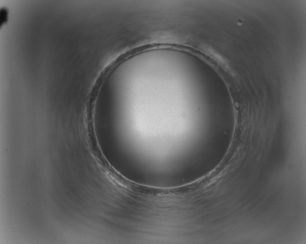 X0000067831264200604201206