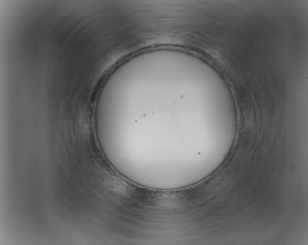 X0000067831266200604201206