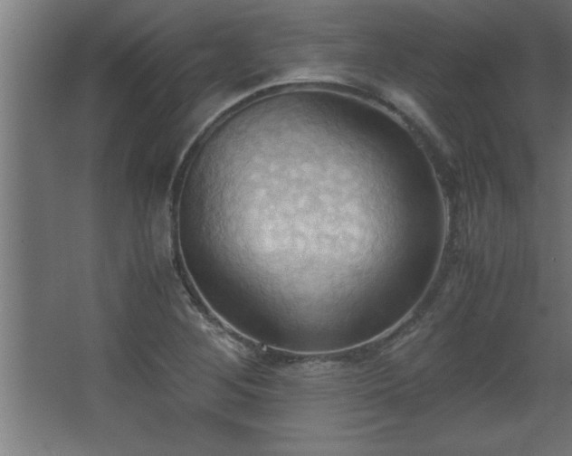 X0000067831268200604201206