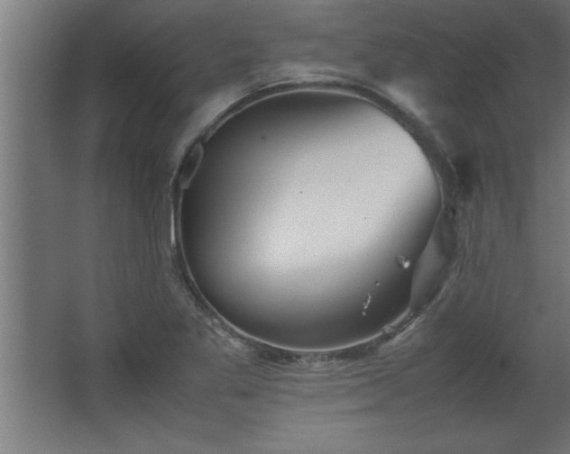 X0000067831269200604201206