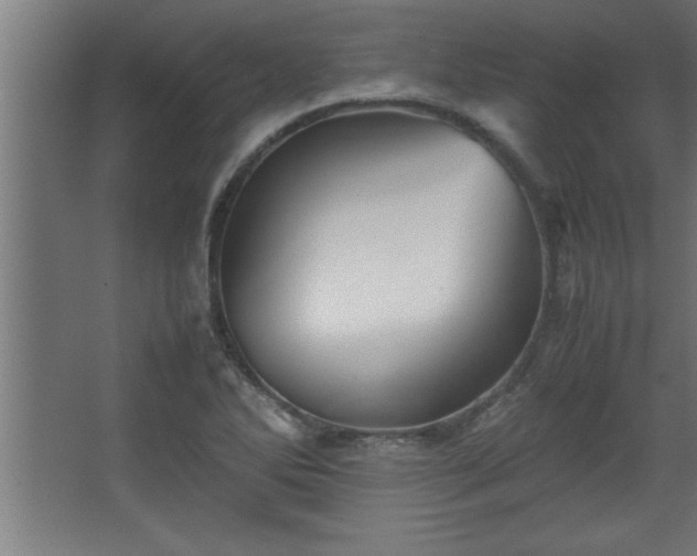 X0000067831270200604201206