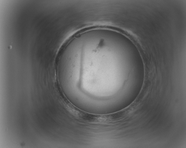 X0000067831271200604201206