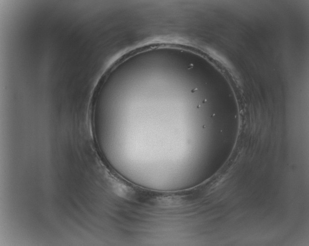 X0000067831272200604201206