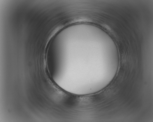 X0000067831274200604201206