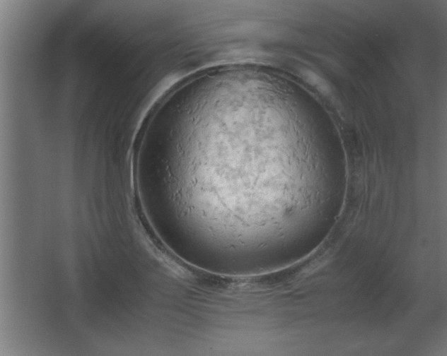 X0000067831275200604201206