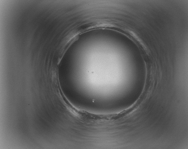 X0000067831281200604201206