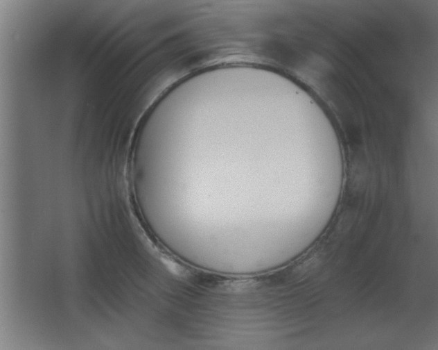 X0000067831282200604201206