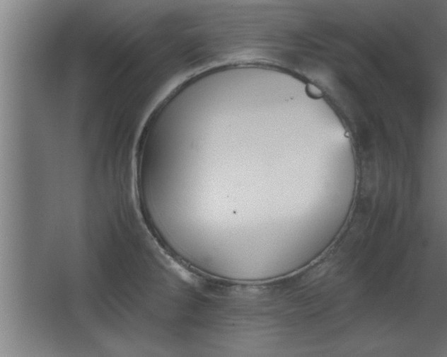 X0000067831286200604201206