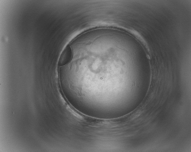 X0000067831287200604201206