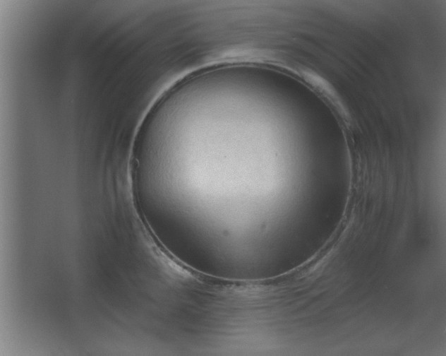 X0000067831288200604201206