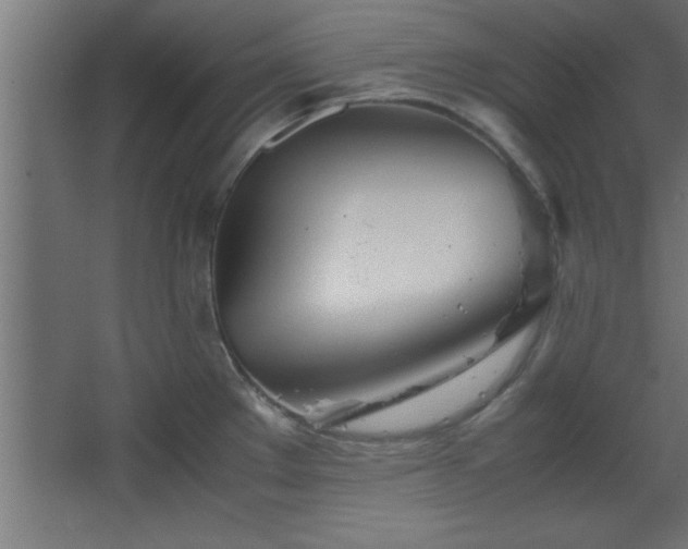 X0000067831289200604201206