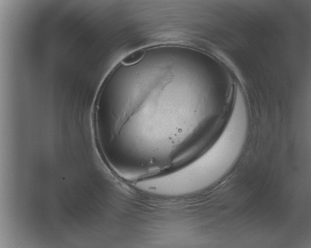 X0000067831291200604201206