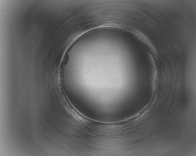 X0000067831292200604201206