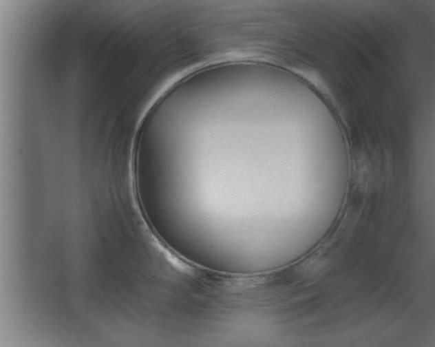 X0000067831294200604201206