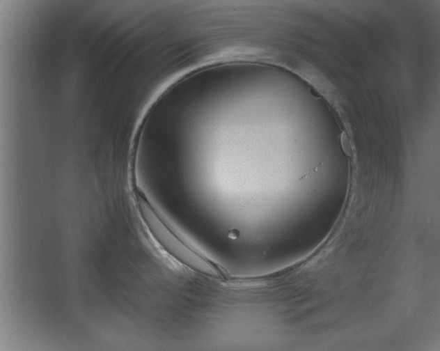 X0000067831296200604201205