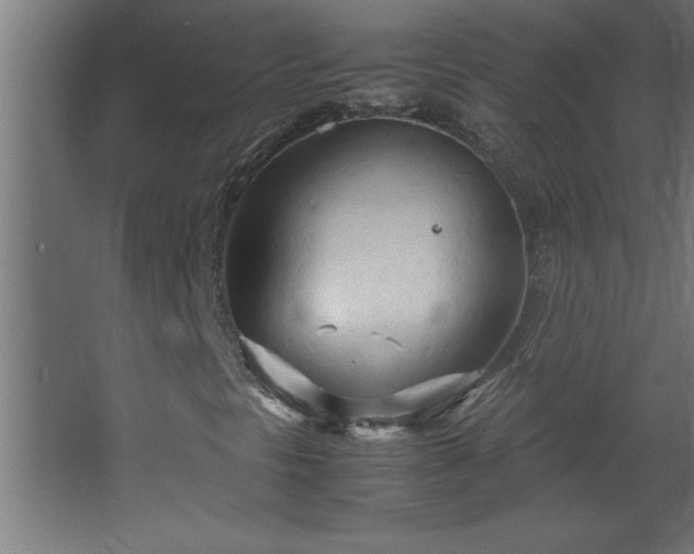 X0000067831297200604201205