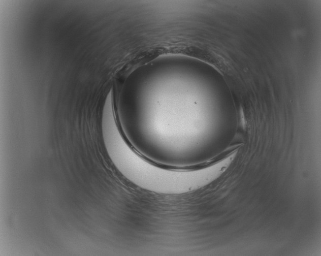 X0000067831298200604201205