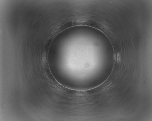 X0000067831299200604201205