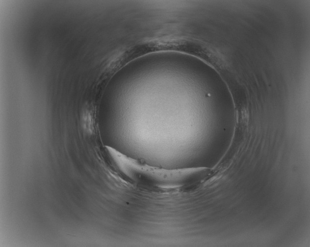 X0000067831300200604201205