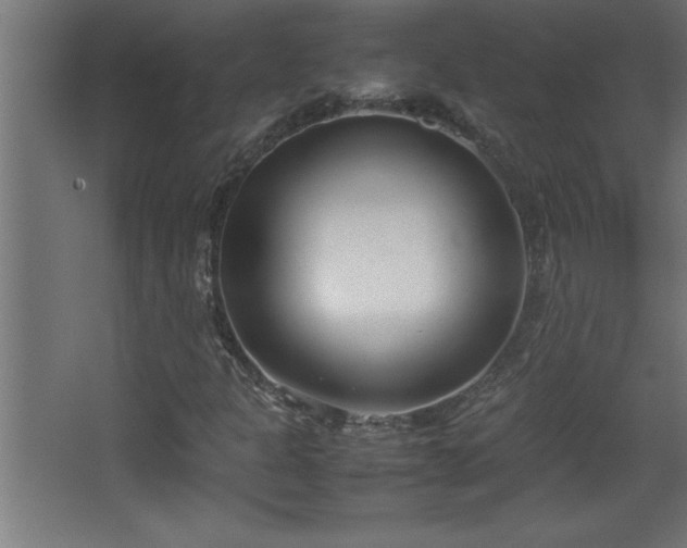 X0000067831301200604201205