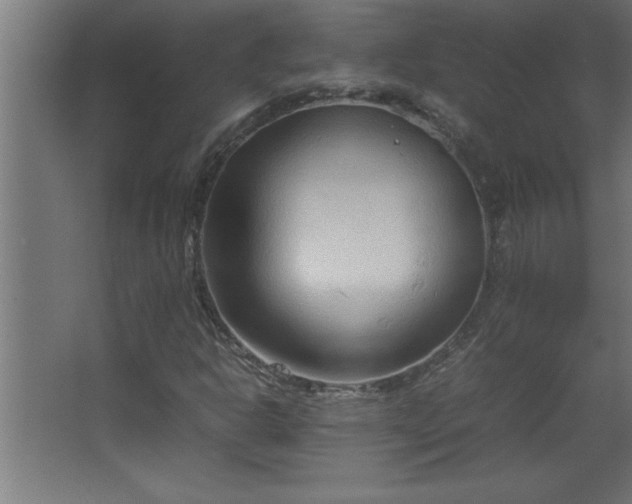 X0000067831302200604201205