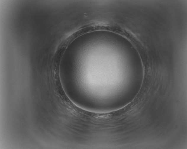 X0000067831303200604201205