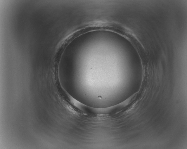 X0000067831304200604201205