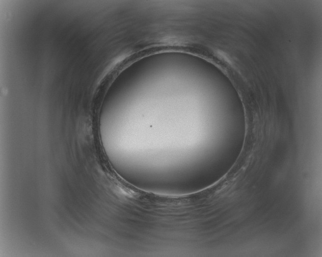 X0000067831307200604201205