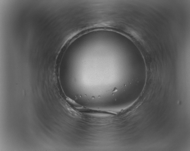 X0000067831308200604201205