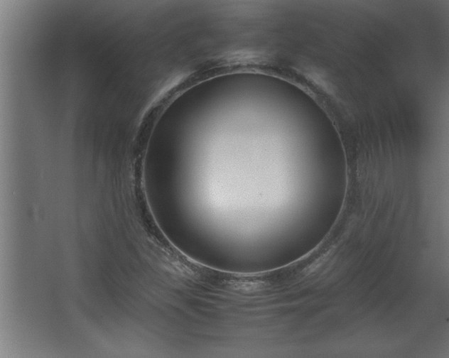 X0000067831309200604201205