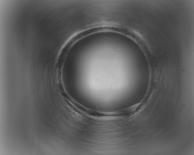 X0000067831310200604201205